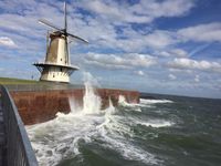 Ausblick auf die Windm&uuml;hle